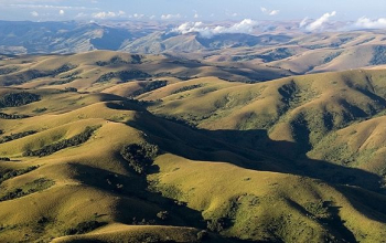 Nyika Plateau