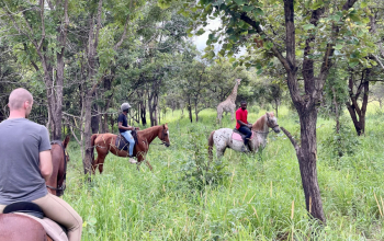 Horseback Adventures Malawi