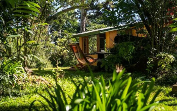 Zomba Forest Lodge