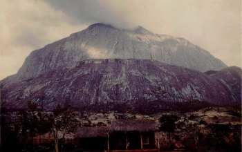 Dedza Mountain Forest Reserve