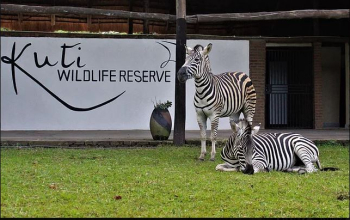 Kuti Wildlife Reserve Kuti Wildlife Reserve
