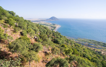 Senga Hills Forest Reserve Senga Hills Forest Reserve