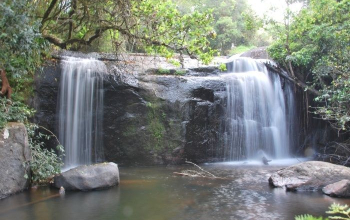 Dzalanyama Forest Reserve Dzalanyama Forest Reserve