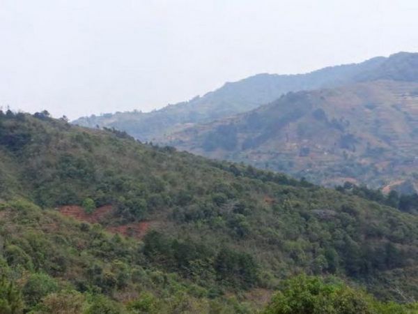 Matipa Complex