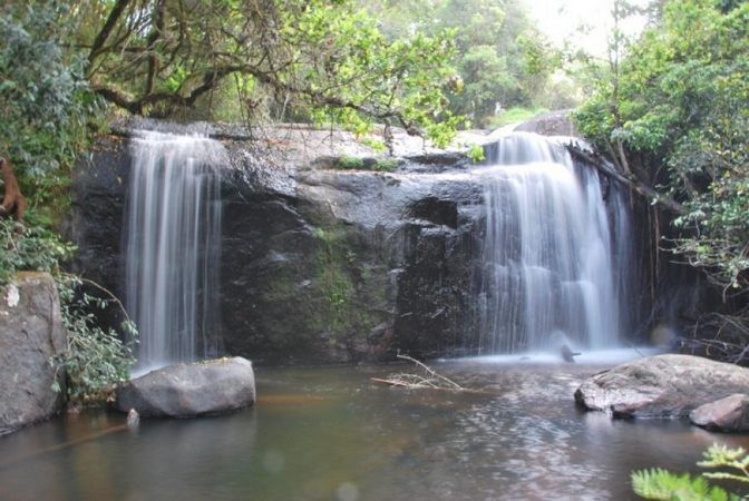 Dzalanyama Forest Reserve