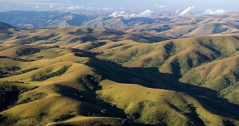 Nyika Plateau