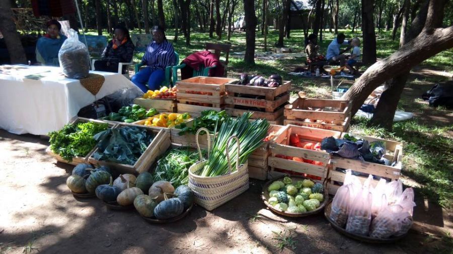 The Lilongwe farmers market