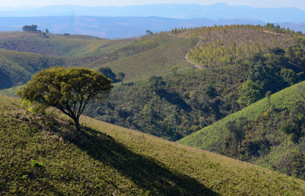 Kawandama Hills Cottage