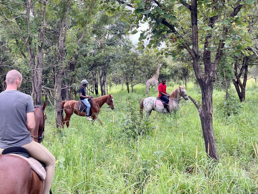 Horseback Adventures Malawi