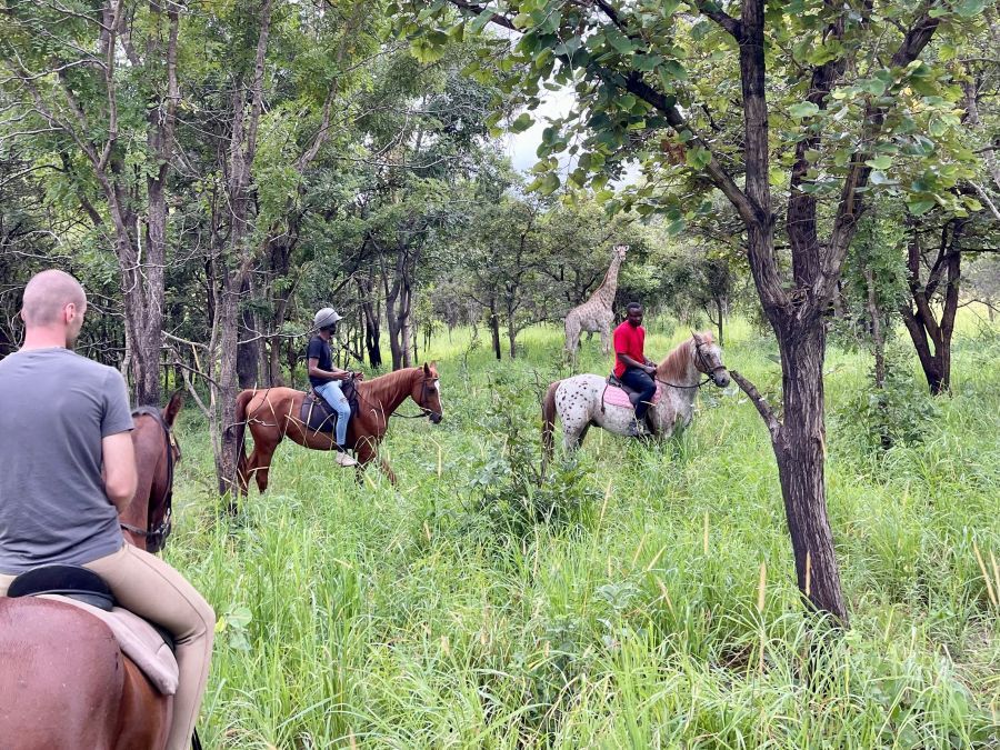 Horseback Adventures Malawi
