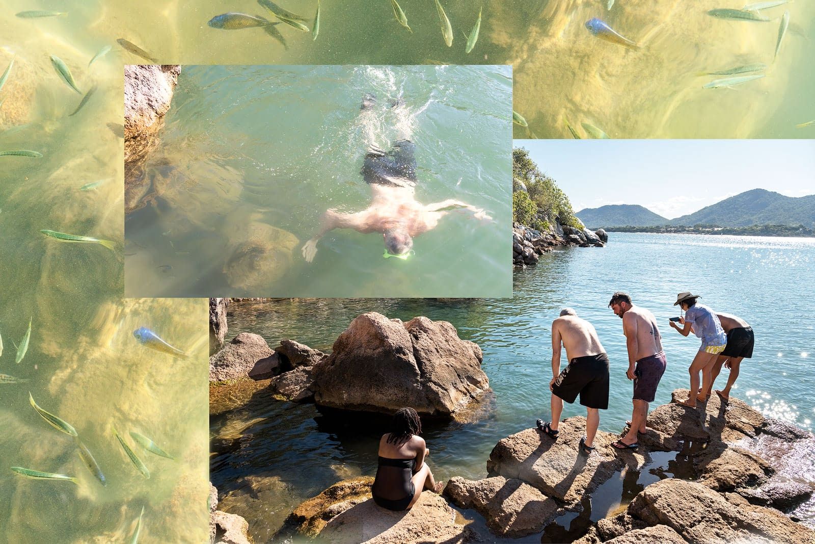 Snorkeling Snorkeling