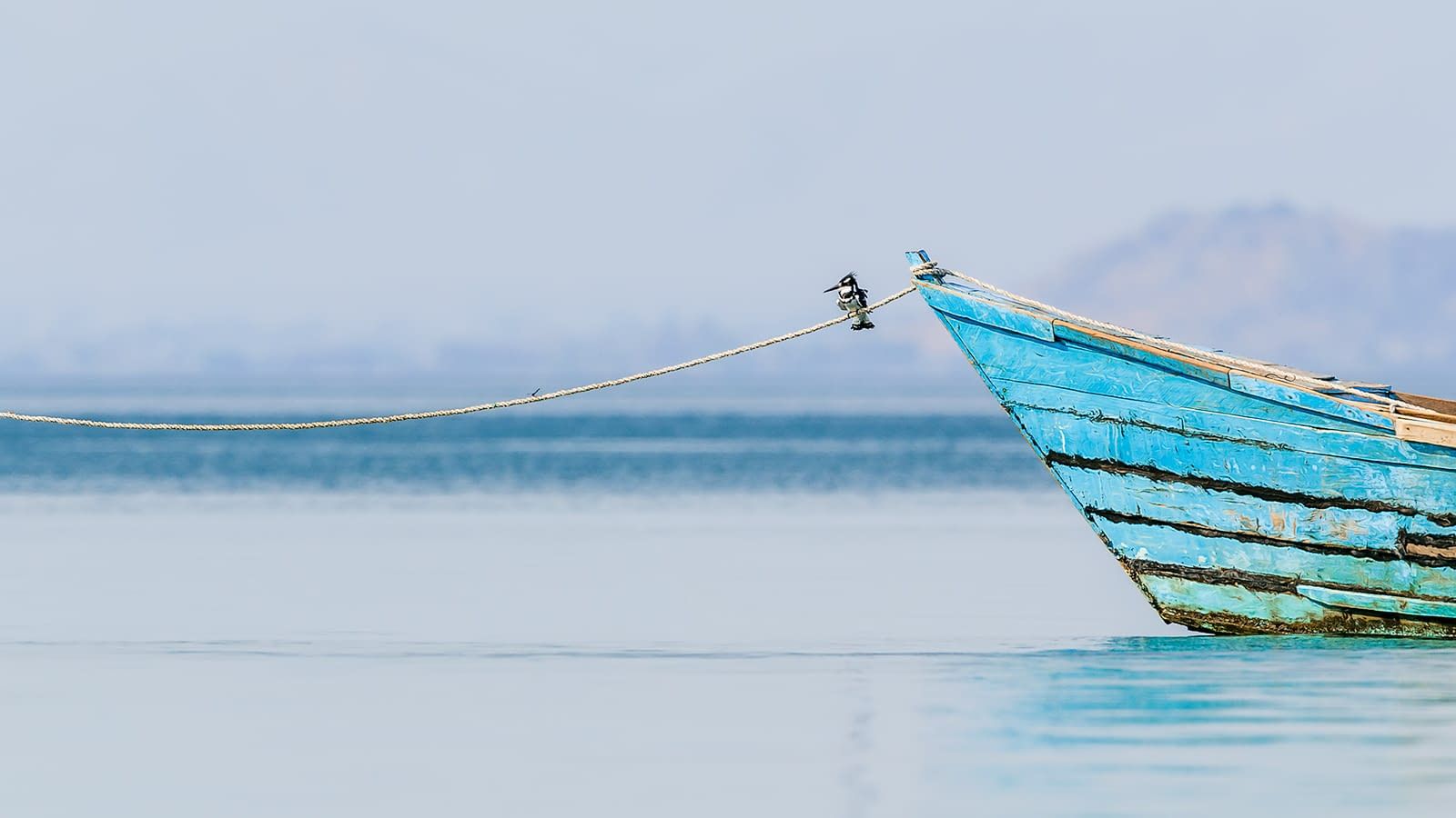 blueboat blueboat