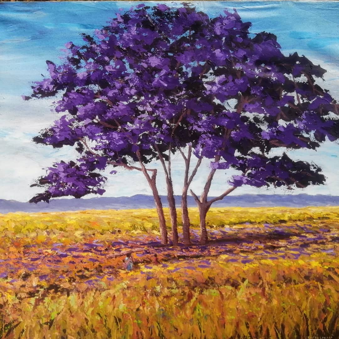 jacaranda-tree jacaranda-tree