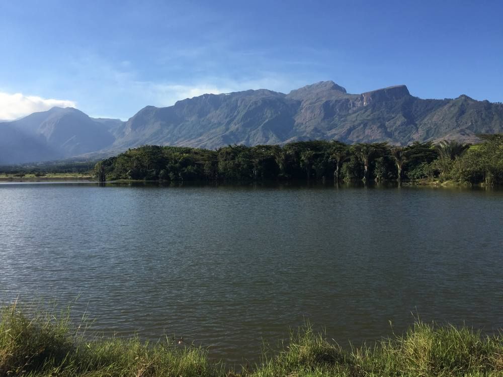 Lujeri-Tea-Estate-on-the-foot-of-Mulanje-Mt Lujeri-Tea-Estate-on-the-foot-of-Mulanje-Mt