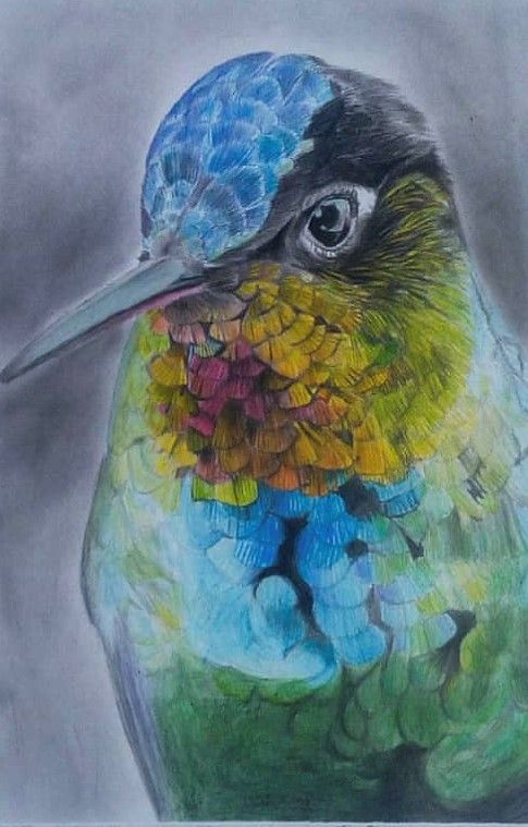 bird bird