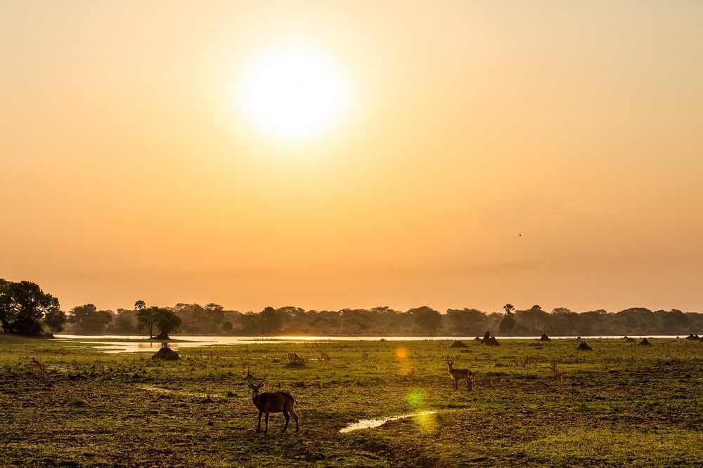 floodplain-sunset---AlicePeretie floodplain-sunset---AlicePeretie