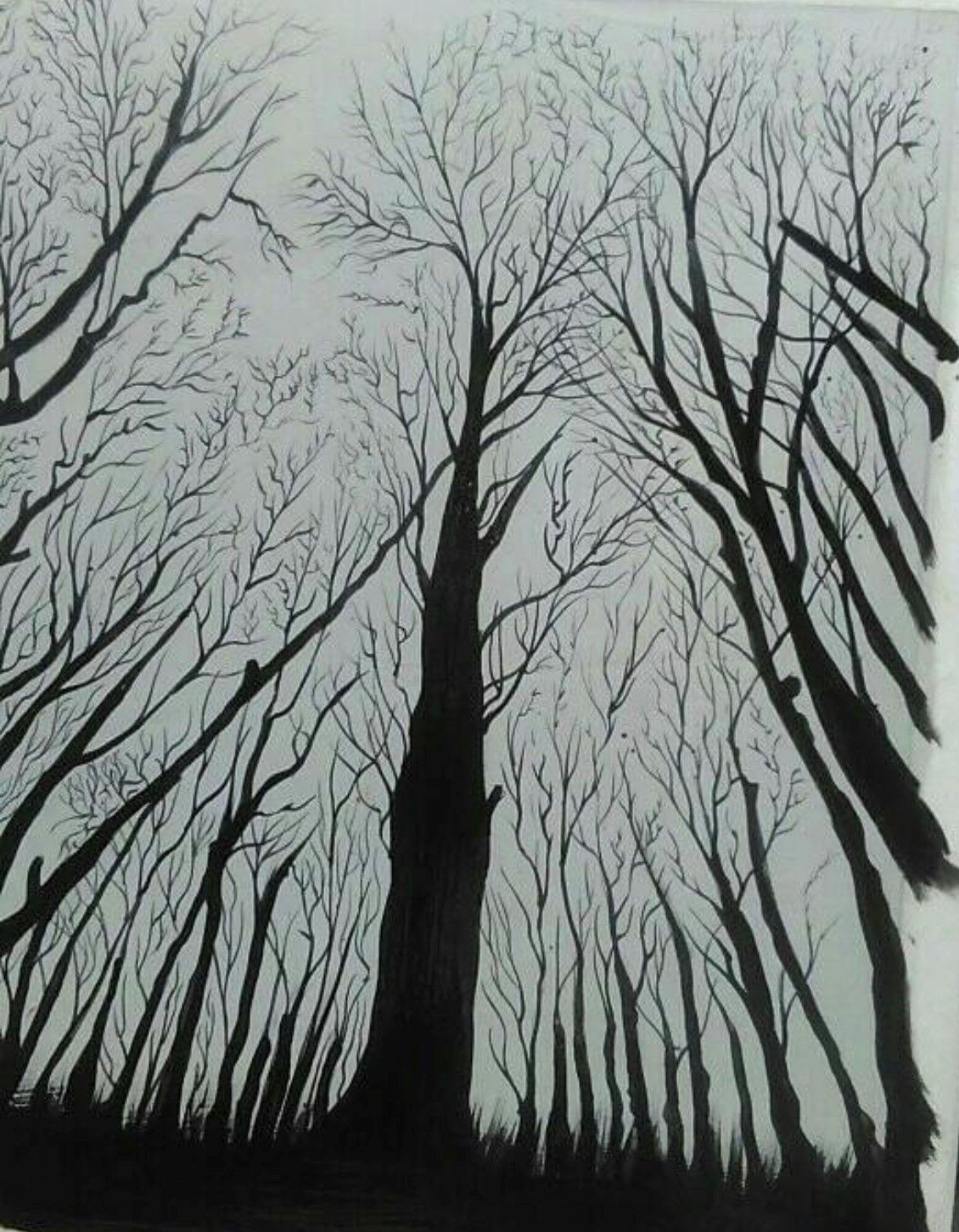 Trees Trees