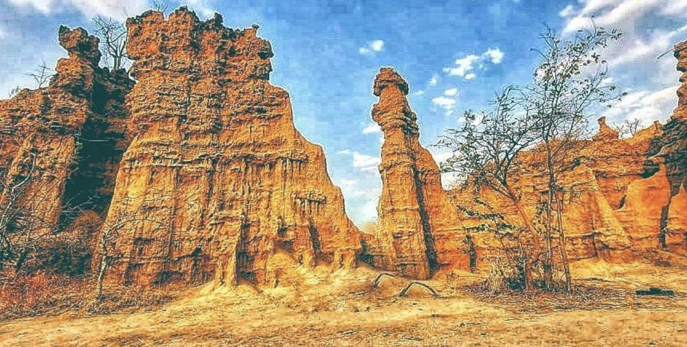 image00016 image00016