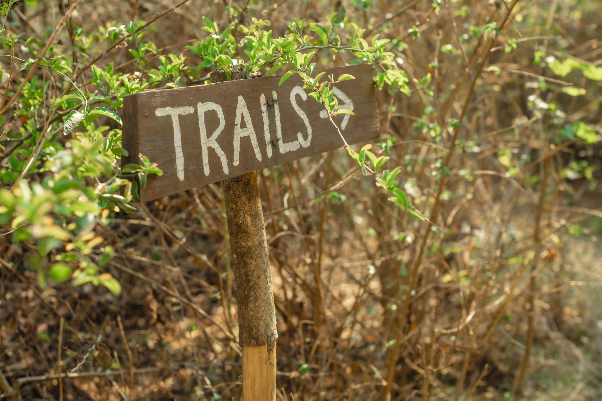 LWC-trailsLWT-Kondwani-JereA30A9577