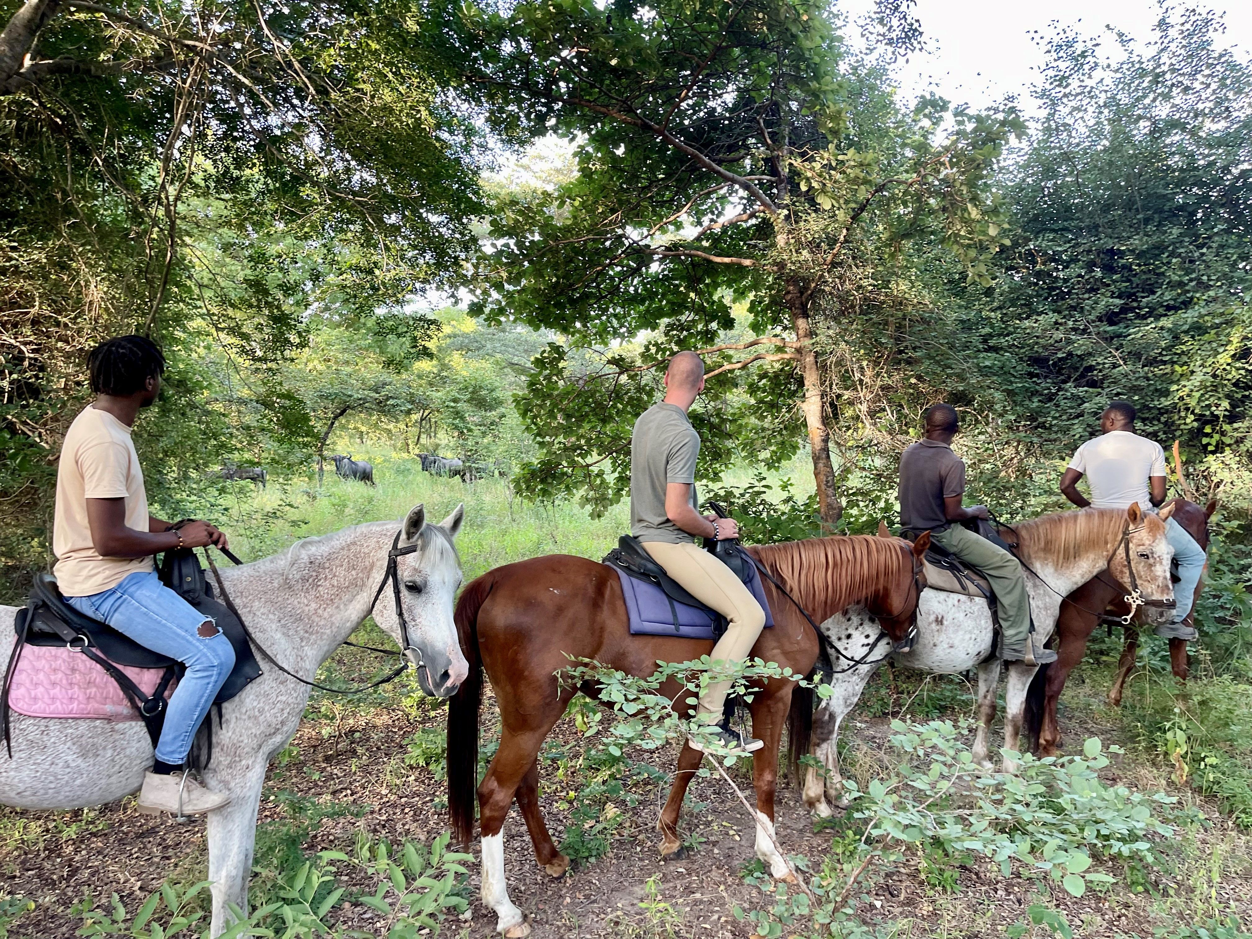 Horseback-Safari-wildebeest-Kuti-Wildlife-Reserve-Malawi