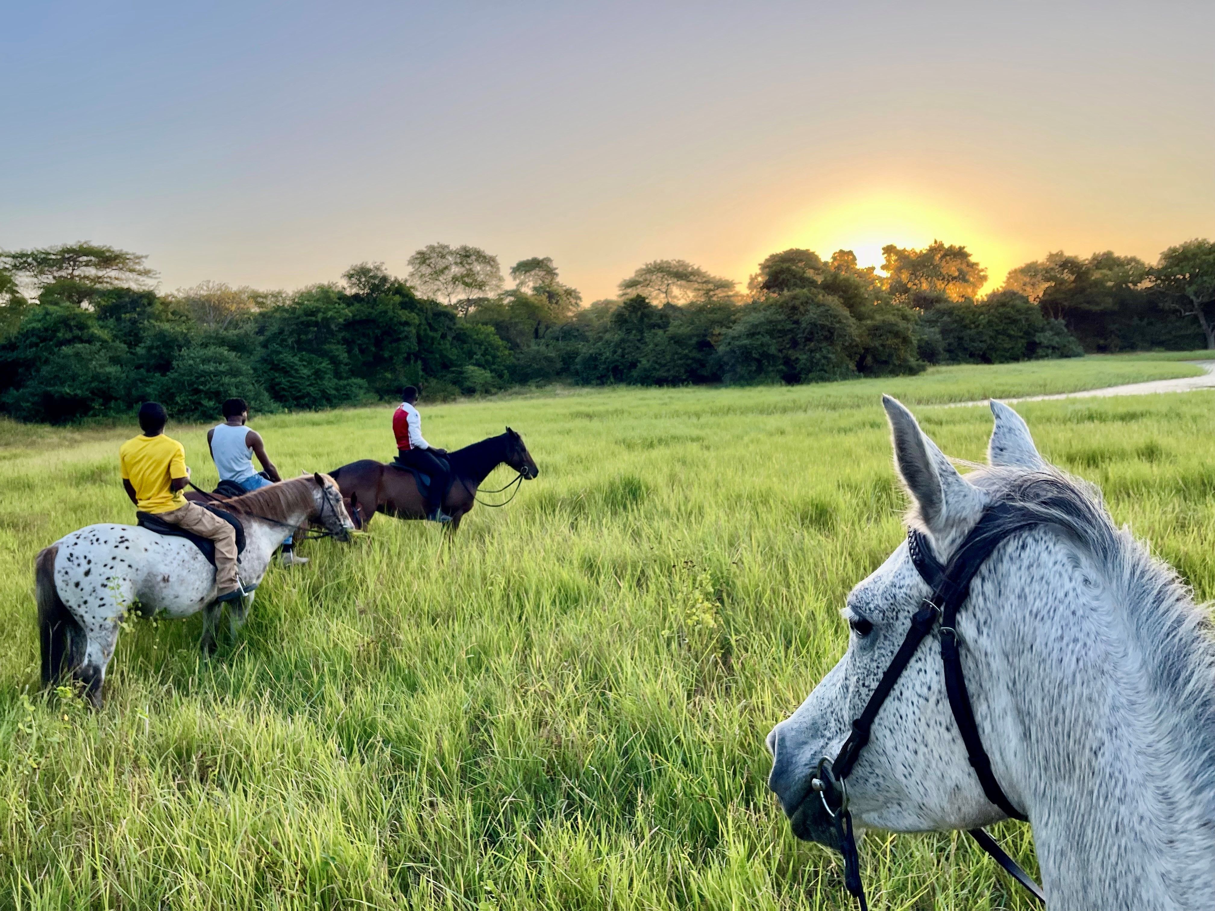 Horseback-riding-Kuti-Wildlife-Reserve-Malawi-sunset-dambo