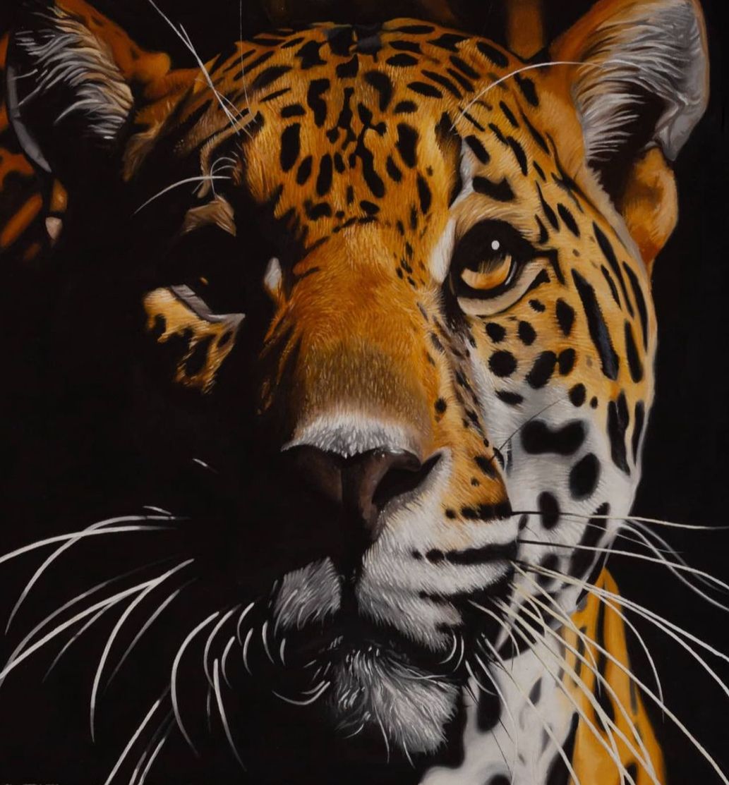 original-6D4EB8BB-2A94-437A-82F0-0E0F29E18887