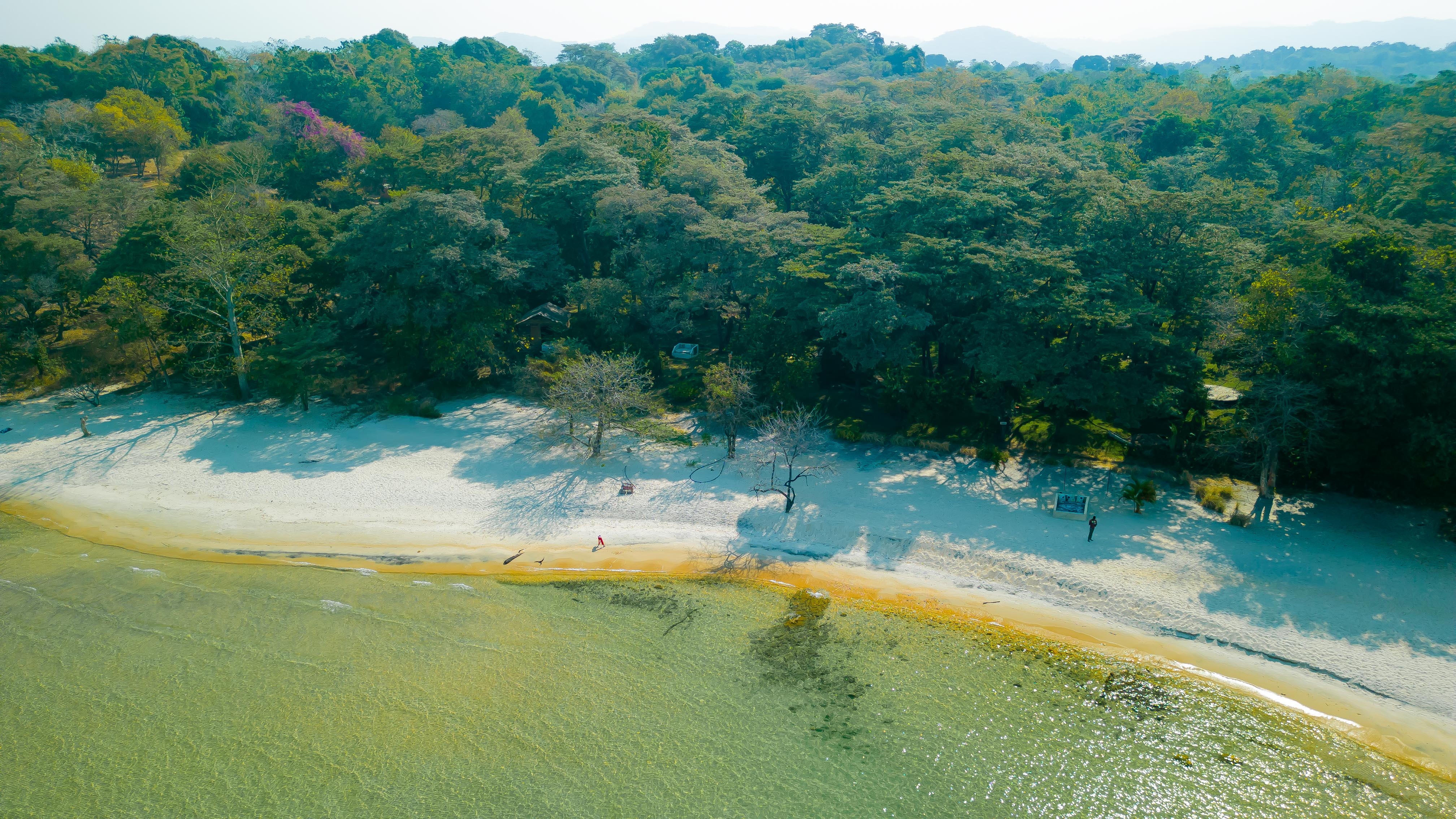 DJI0202 DJI0202