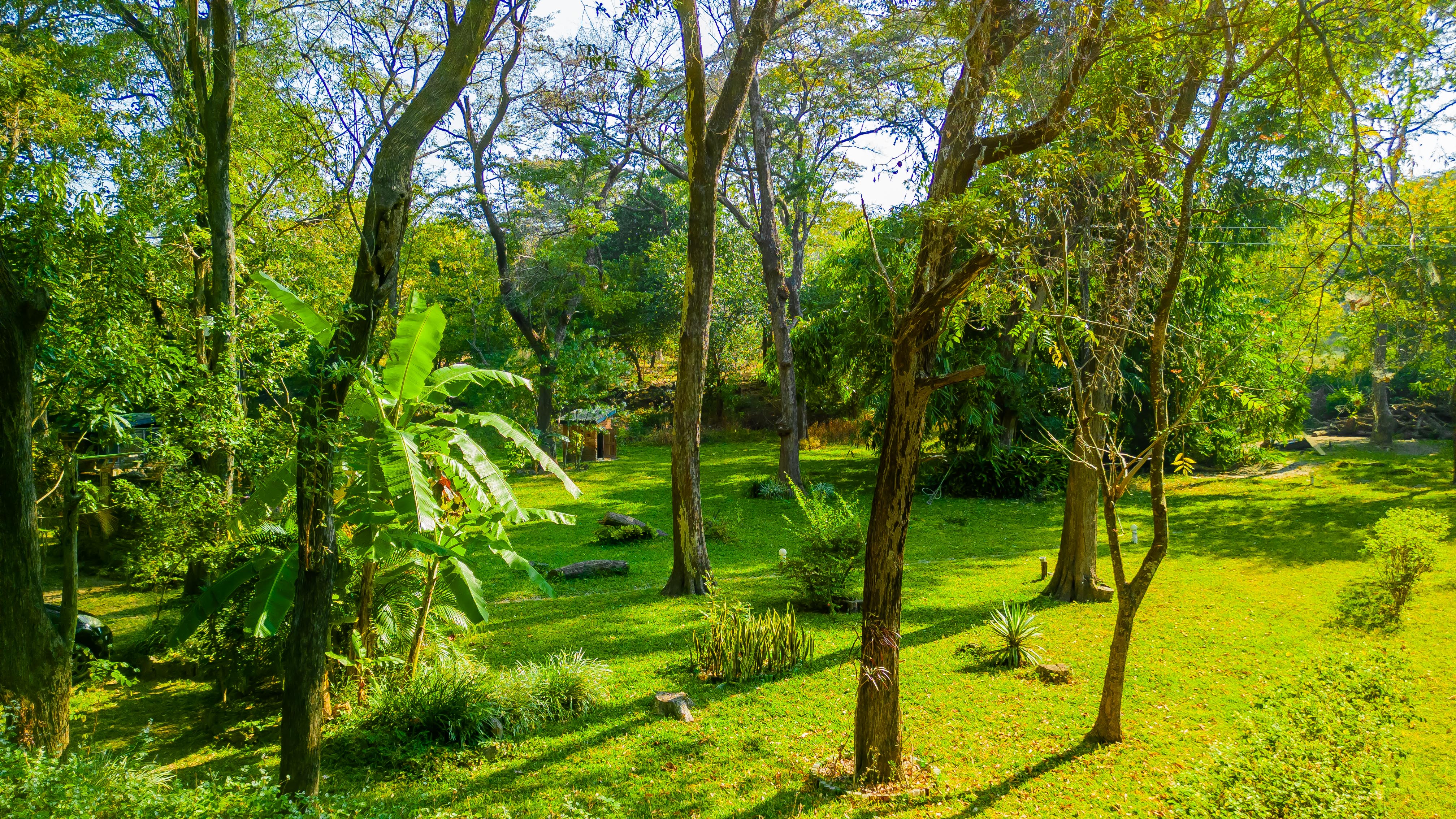 DJI0234 DJI0234