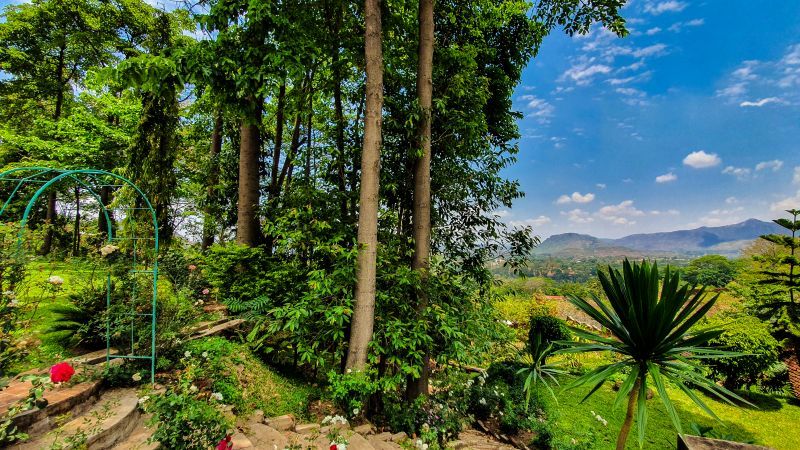 Gardenview Gardenview