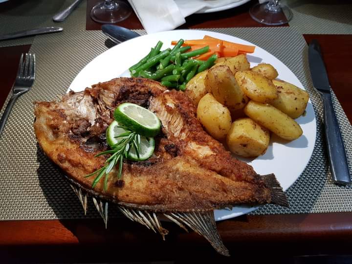 Fish Fish
