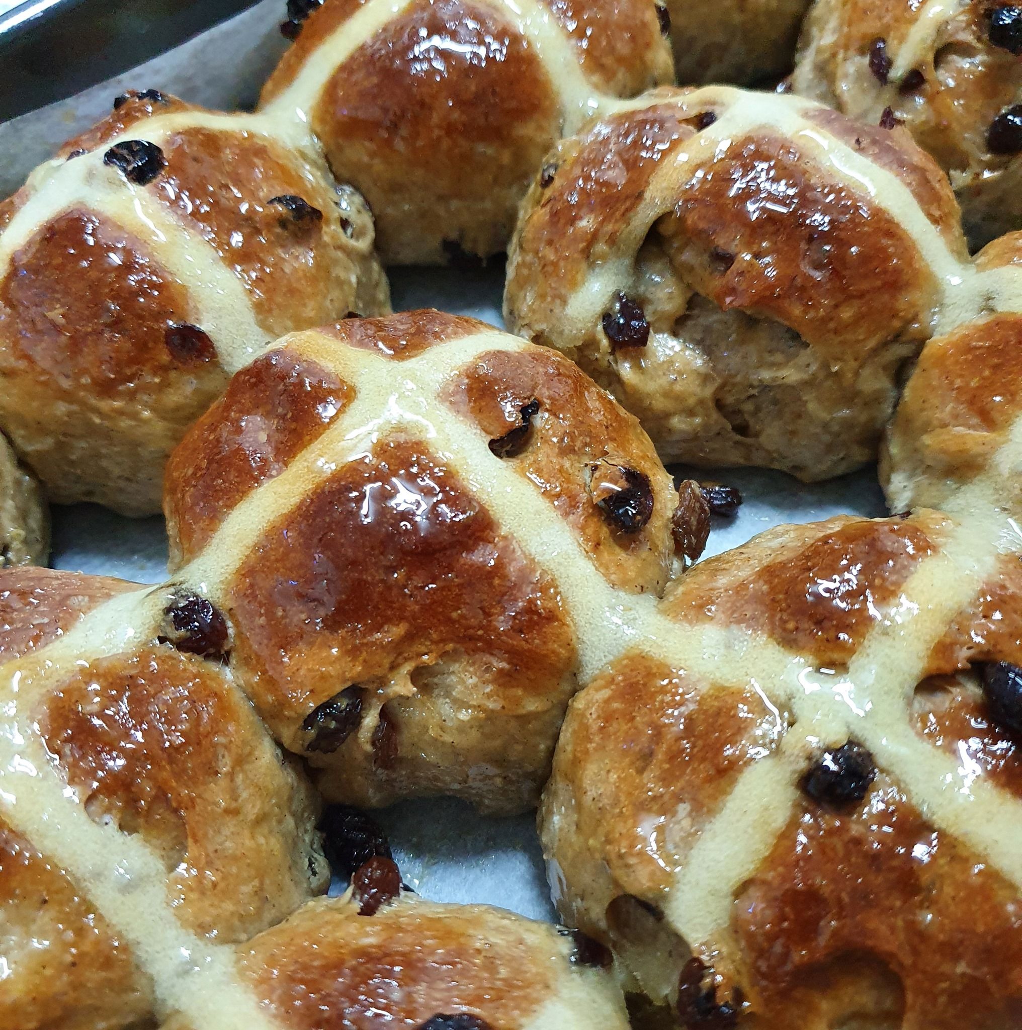 Buns Buns