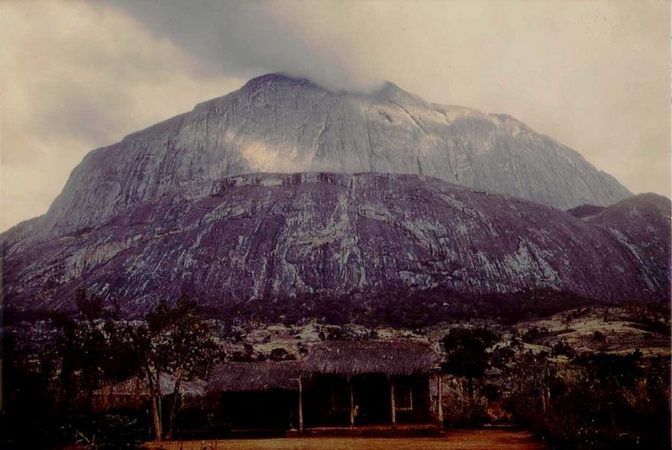 Dedza Mountain Forest Reserve