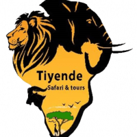 Tiyende Safari & Tours