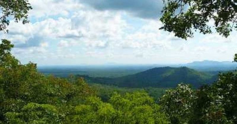 Chongoni Forest Reserve