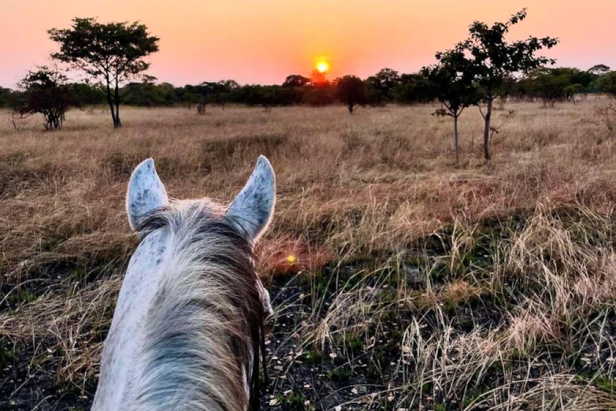 Horse Riding