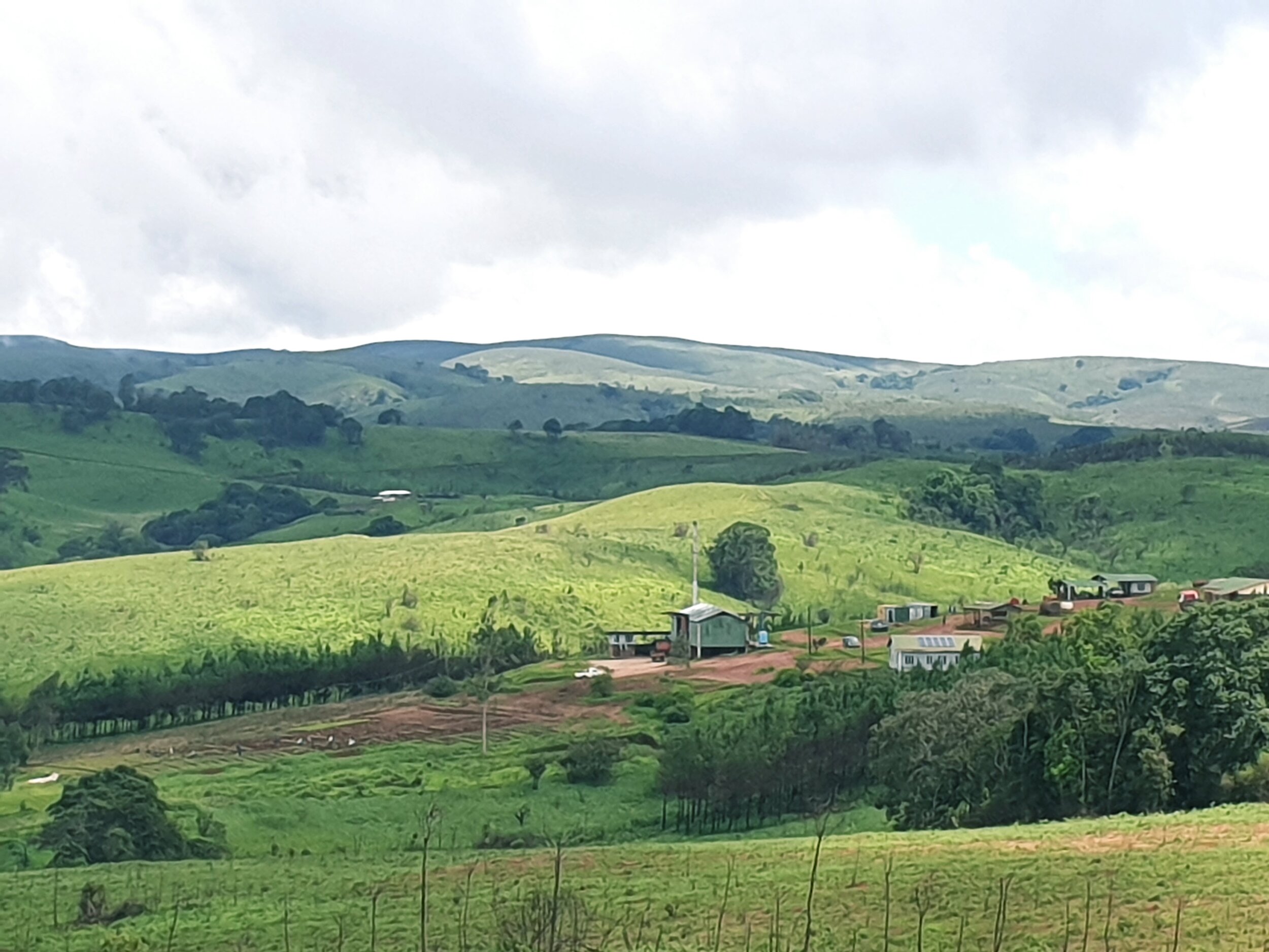 Kawandama Hills Plantation