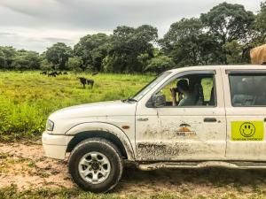 Safari-Travel-Africa-Malawi