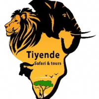 Tiyende Safari &amp; Tours